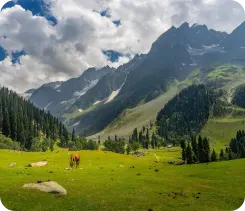 Nature Srinagar